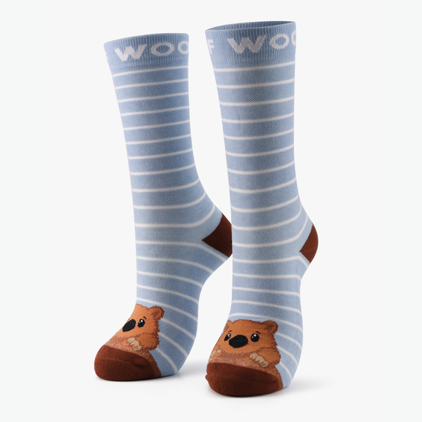 //tw.drwoofapparel.com/cdn/shopifycloud/storefront/assets/no-image-2048-a2addb12_grande.gif